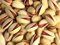 خرید عمده انواع پسته مرغوب